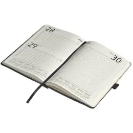 Okiyo Toshi A5 2026 Diary & Pen Set Page A Day Entries